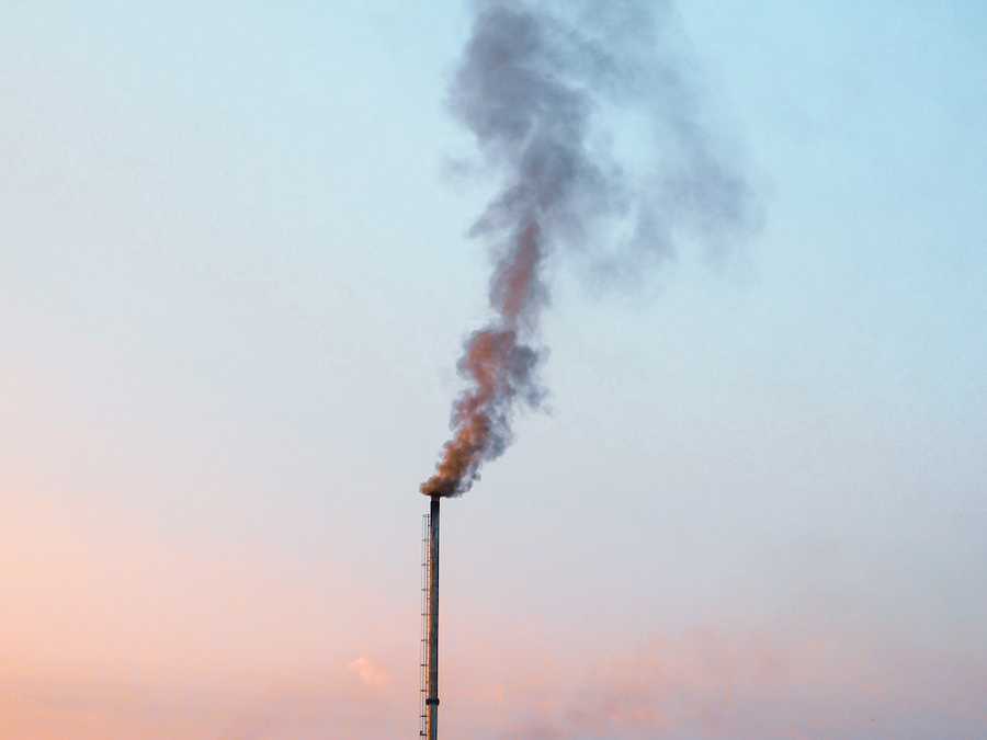 causes-of-inflammation-environmental-toxins