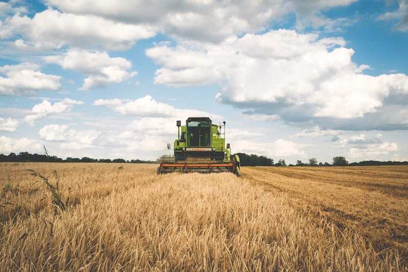 stocking a healthy kitchen with local food