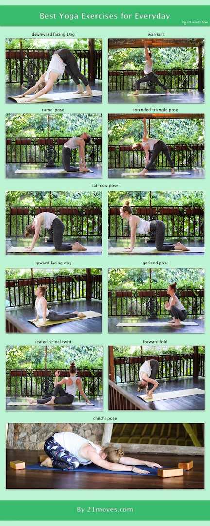 Daily Yoga Exercises