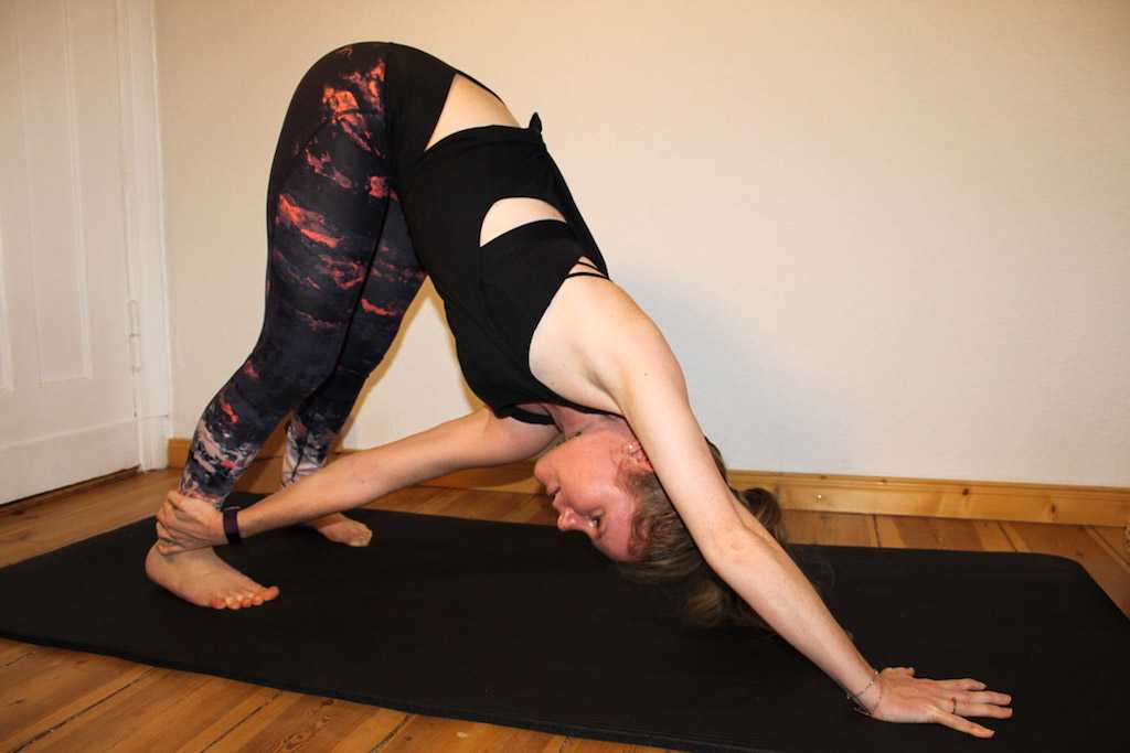 Downward-Facing Dog Twist