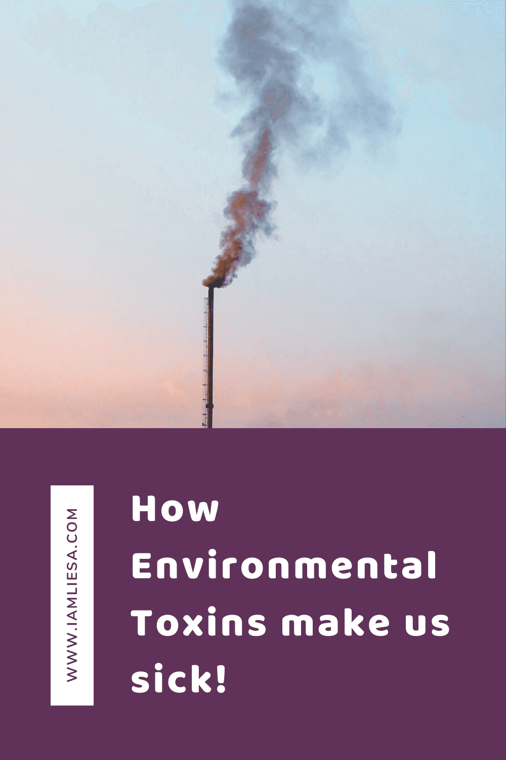 Environmental toxins are all around us and they are a leading cause of chronic inflammation, a process that may cause severe disease. If you know what environmental toxins are and what to look out for, you are able to reduce being exposed to them and thus reduce the risk of getting sick.