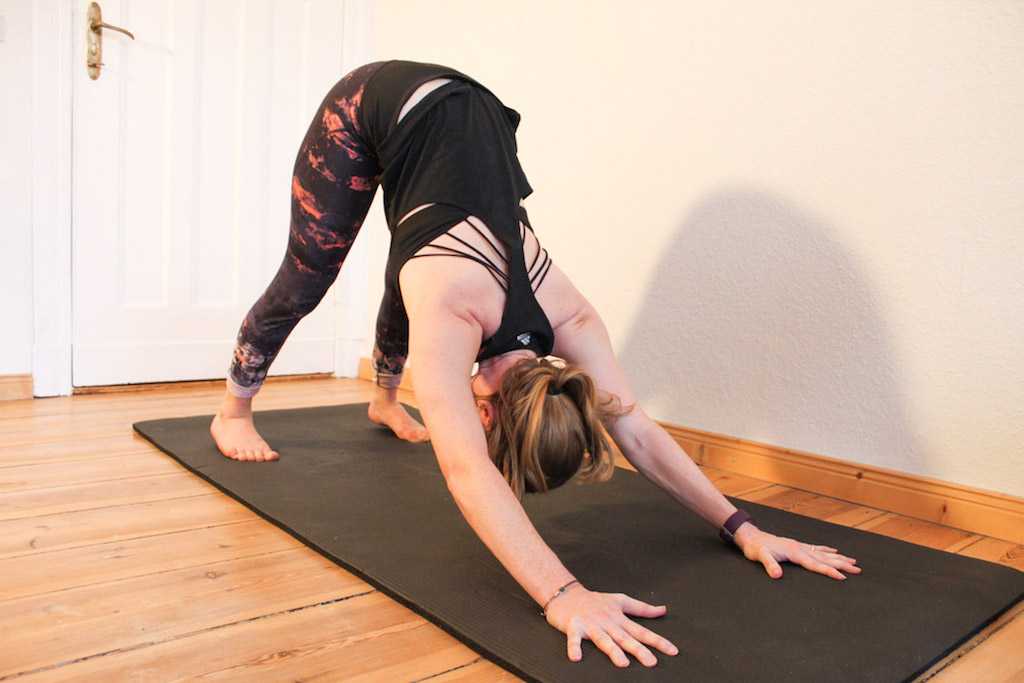 Downward-Facing Dog Spine